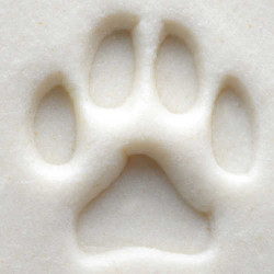 
  TAMPON ROND 1,5 CM - DOG PAW - Outils pour décorer l'argile - Cigale et Fourmi