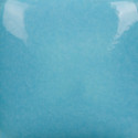 
  EMAIL BRILLANT MAYCO STROKE & COAT - TIC TAC TURQUOISE - 473 ml - Série Mayco STROKE & COAT® - Cigale et Fourmi