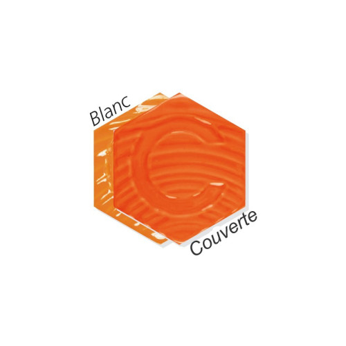 
  COLORANT ORANGE INTENSE - 100g - colorant de masse ceramique - Cigale et Fourmi
  